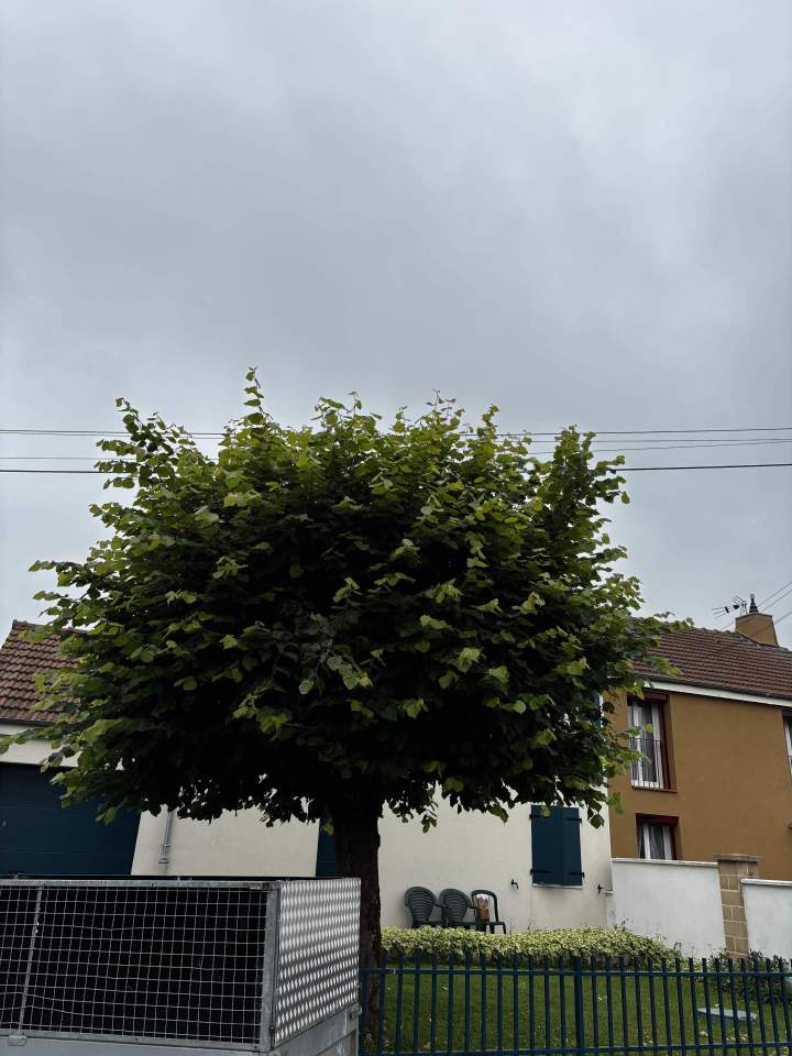 2APRES