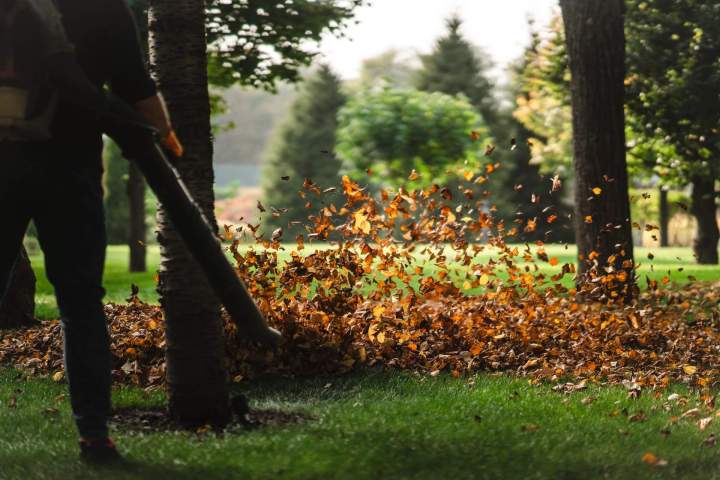 Évacuation des déchets verts Crèvecoeur-le-Grand